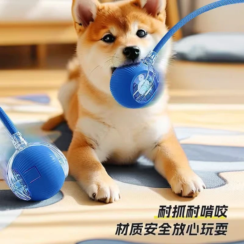 狗狗玩具自动遛狗球宠物小狗自嗨解闷耐咬电动智能逗狗跳跳球神器