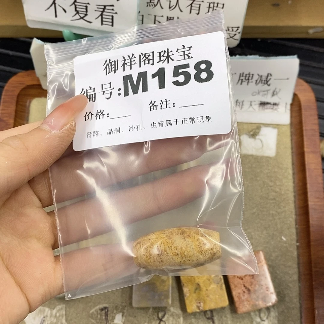 硅化珊瑚（珊瑚玉）未镶嵌颈饰小****y