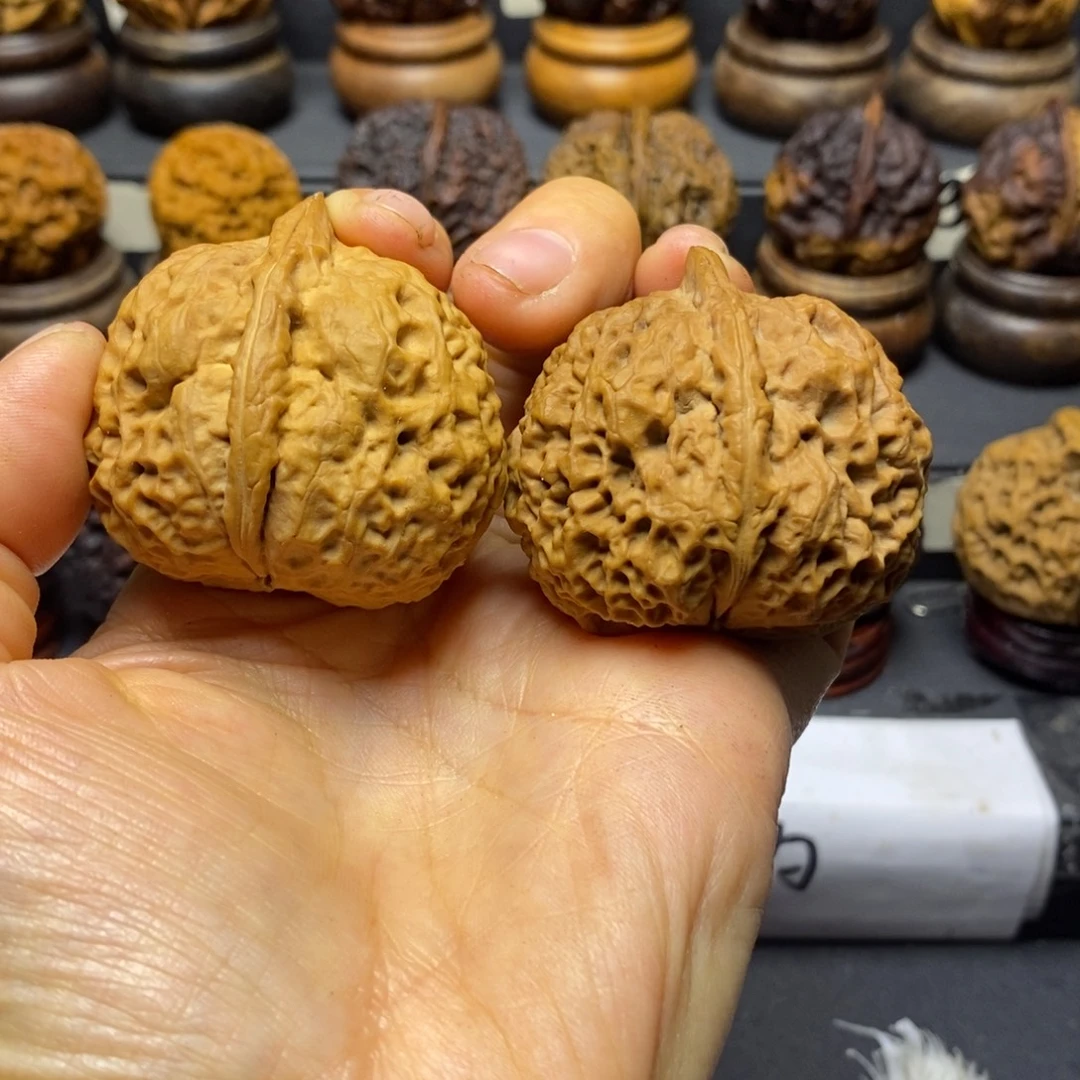 明***禹红石铫45尺寸云南铁核