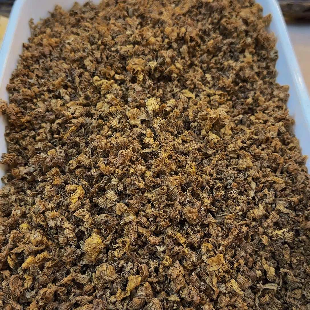 沉香沉香木制品海南野生黄棋勾丝10克多样性发其一