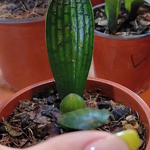 完全开放嘻嘻嘻这样就行了