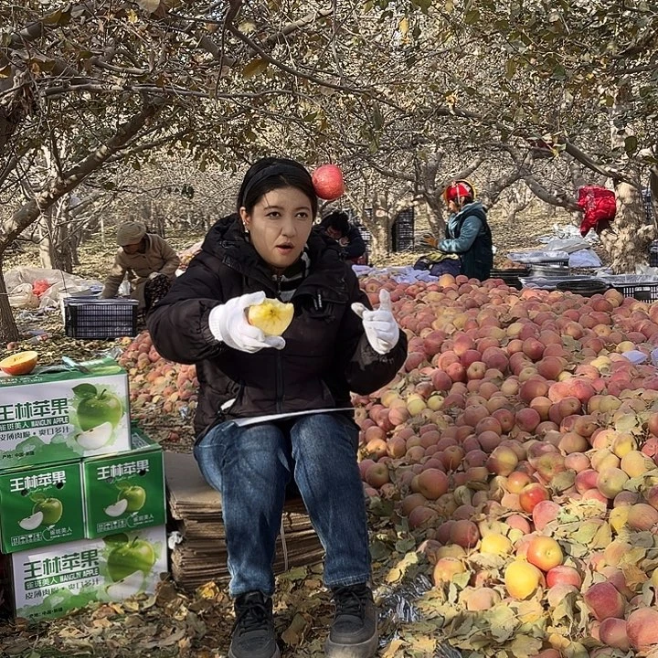 *****红富士苹果哈哈哈哈哈哈哈哈