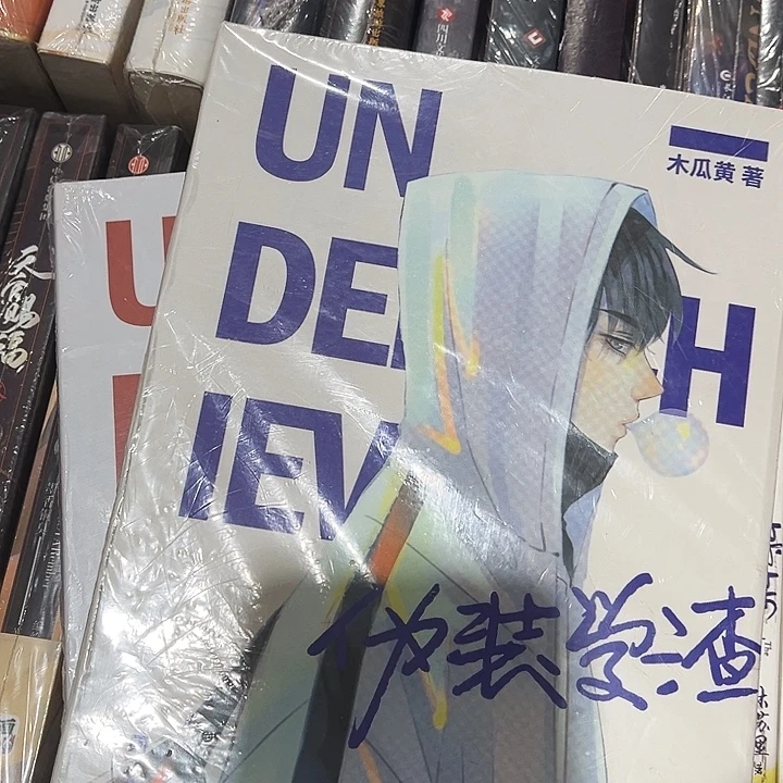 伪装学渣全新全套两本带周边未删减