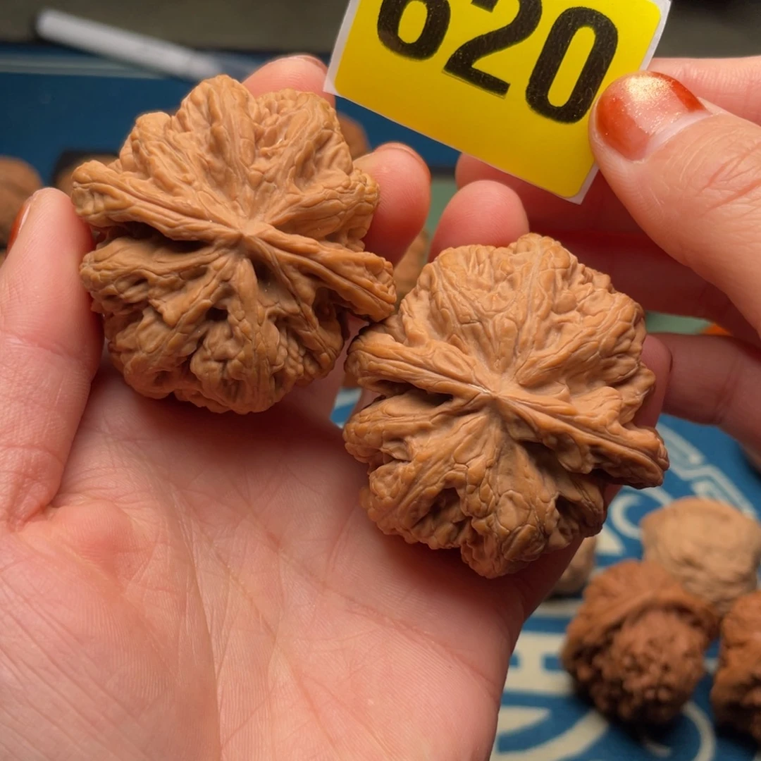 文玩核桃把件48全品球筋（59.6克）620号