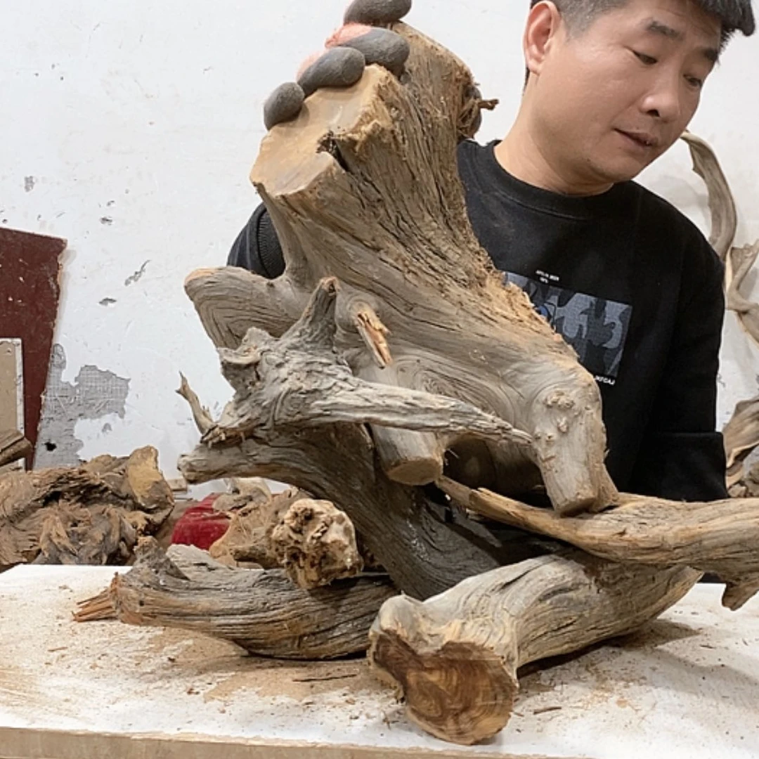 【闪购商品】柏木7*7我们都是好孩子