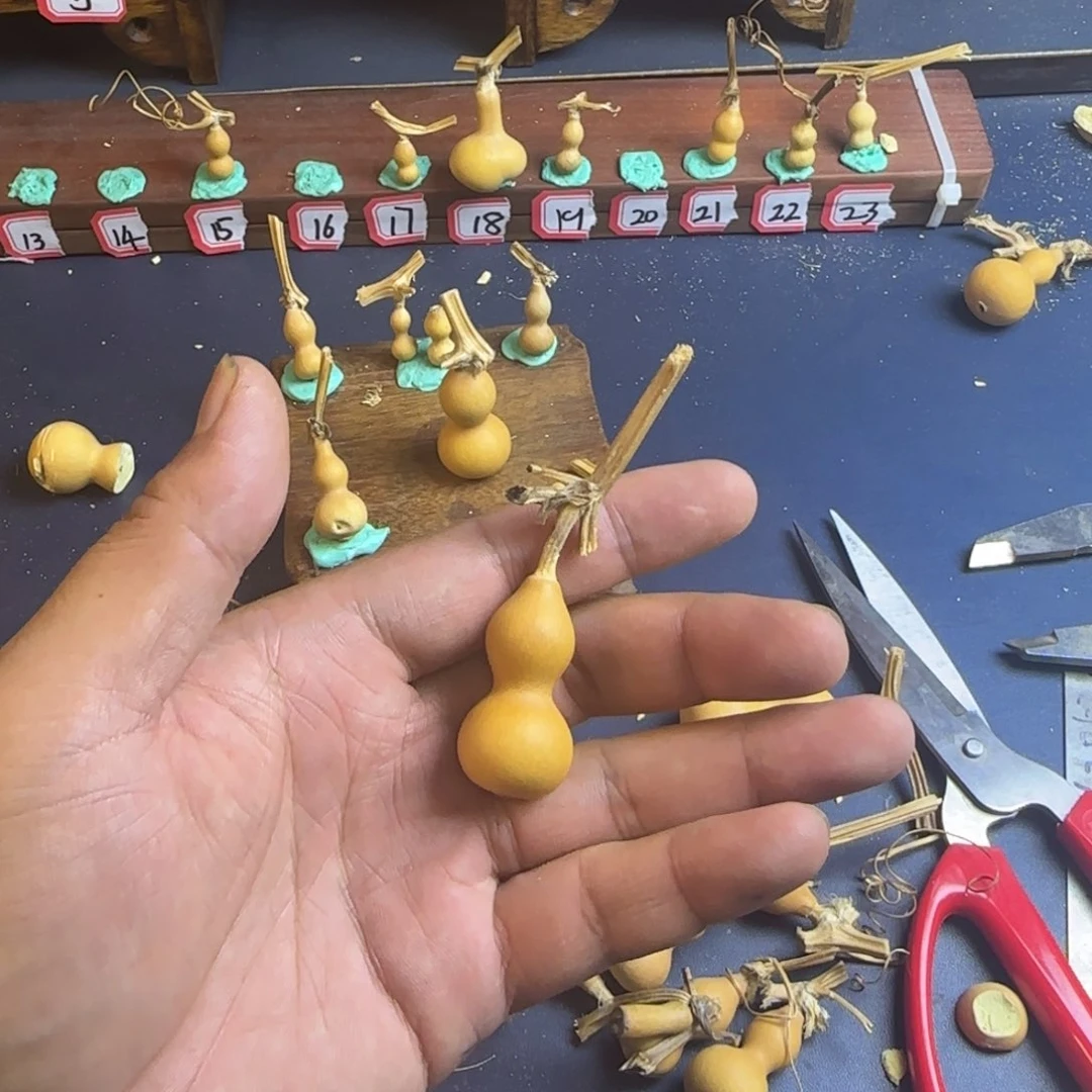 h***g我是一只小小鸟地域鬼的人生观