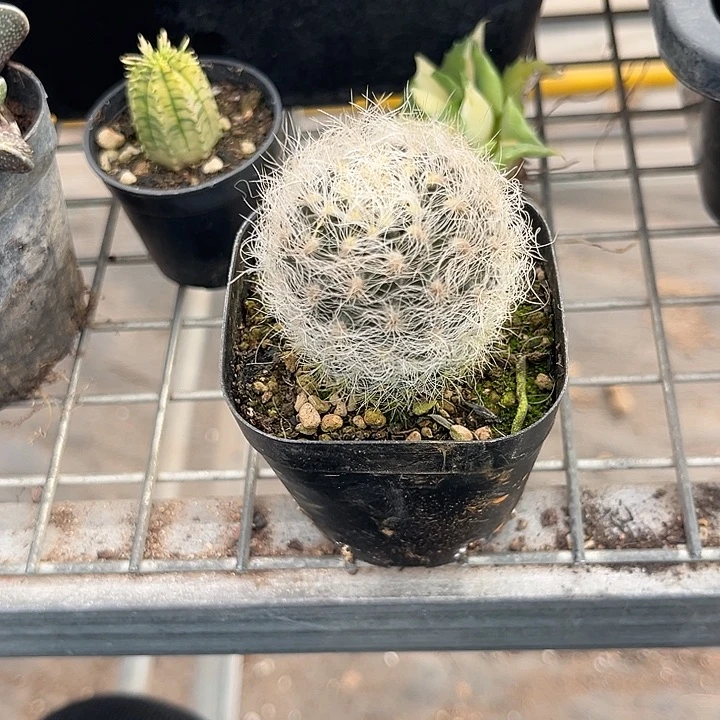 ****员我也不知道我为什么要这样