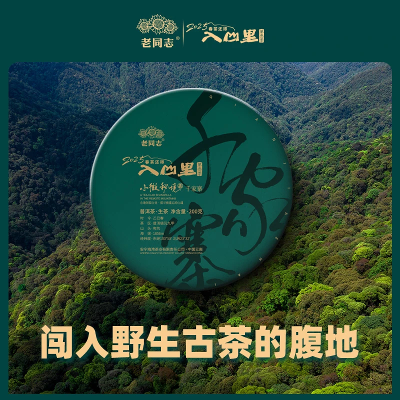 老同志2025年入山里千家寨 普洱茶 生茶 200克  春茶季