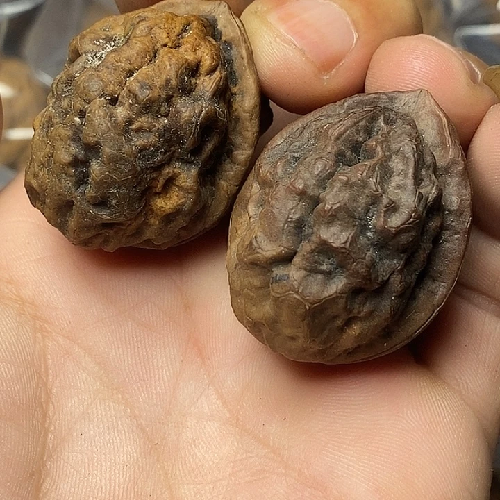 文玩核桃把件云南铁核桃8
