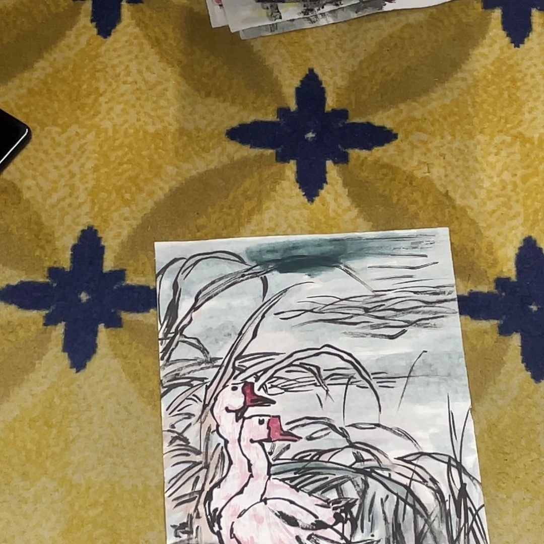 国画橘**猫郭振甲老师作品5555566666