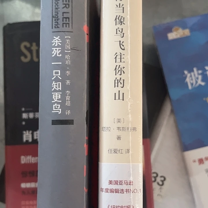当鸟，知更鸟全新精装