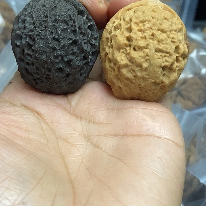 把件文玩核桃云南铁核桃基地56