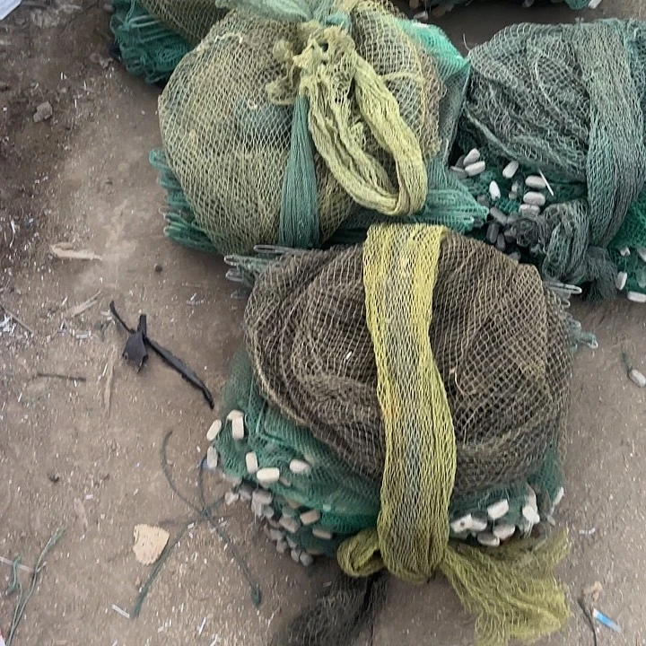 用***9虾虾笼58282288228