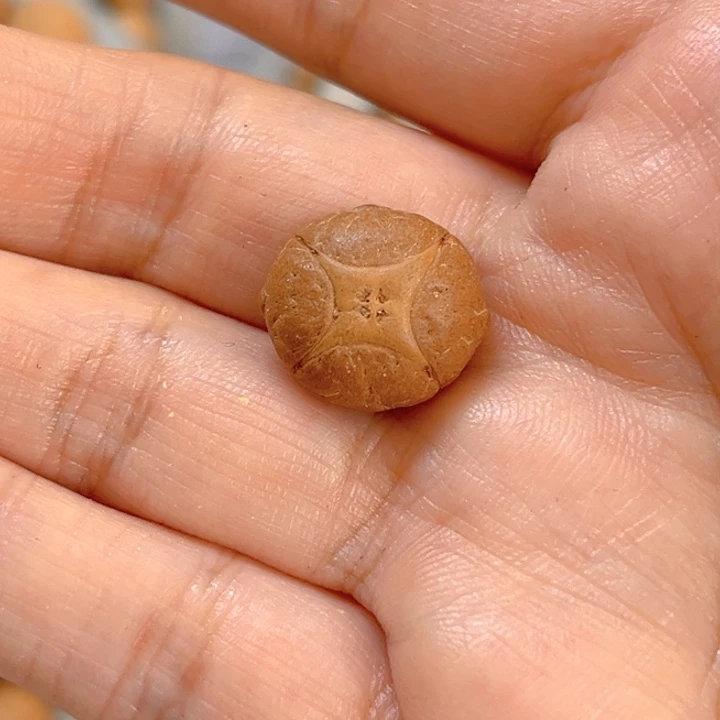 吊坠凤眼菩提15麒麟单籽，86@5368
