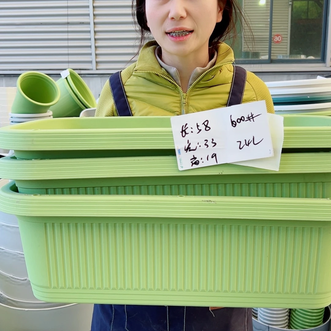 菜盆600#果绿3个无托