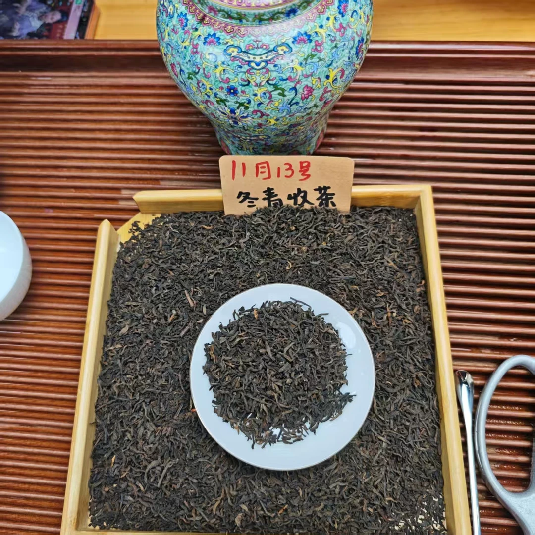 2010桃花醉老六堡 蜜桃香桃花香 干仓存储 冬青收茶