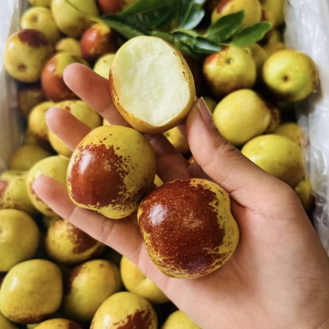 【鲜果】新鲜脆甜新疆冬枣/一斤