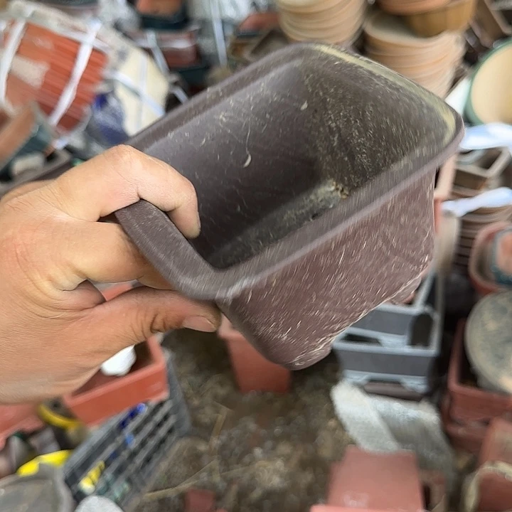 一哈来不急不慌啊哈哈