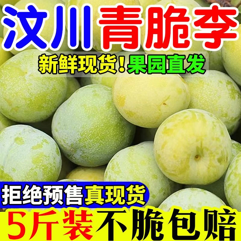 正宗四川汶川青脆李脱骨李新鲜茂县脱骨李当季李子