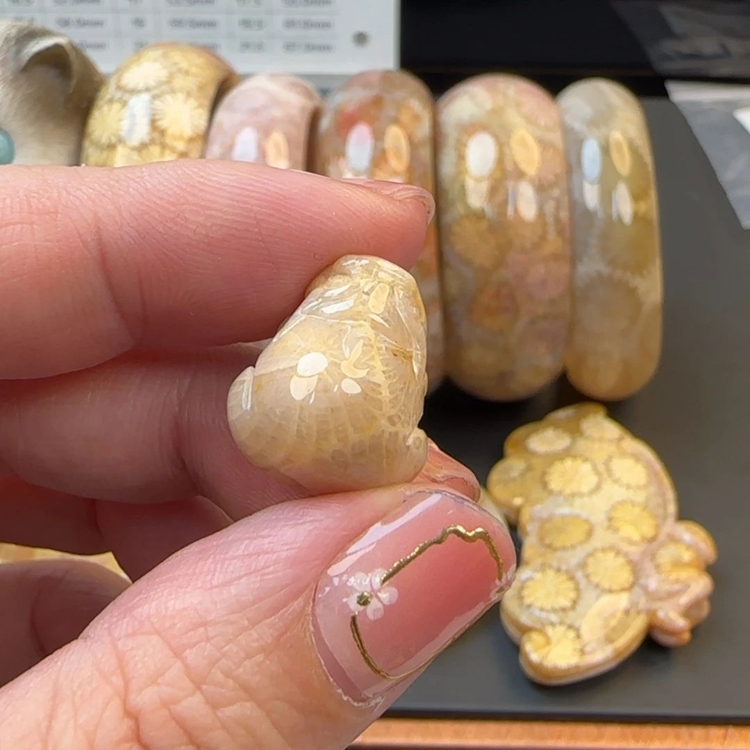 五***行硅化珊瑚（珊瑚玉）未镶嵌颈饰