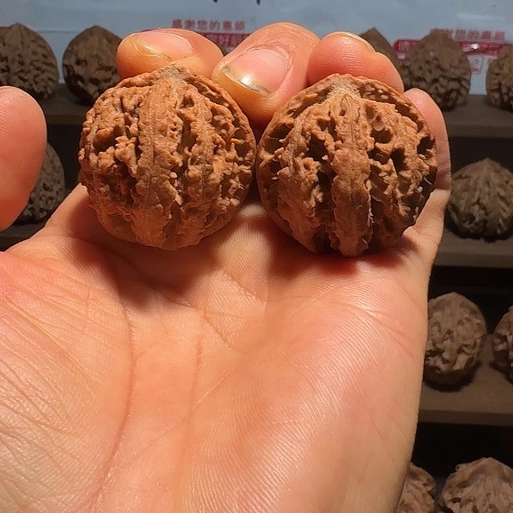 核桃秦岭野生粗筋八棱