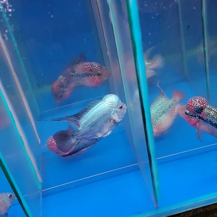 海水1111111111111111111111111111111111