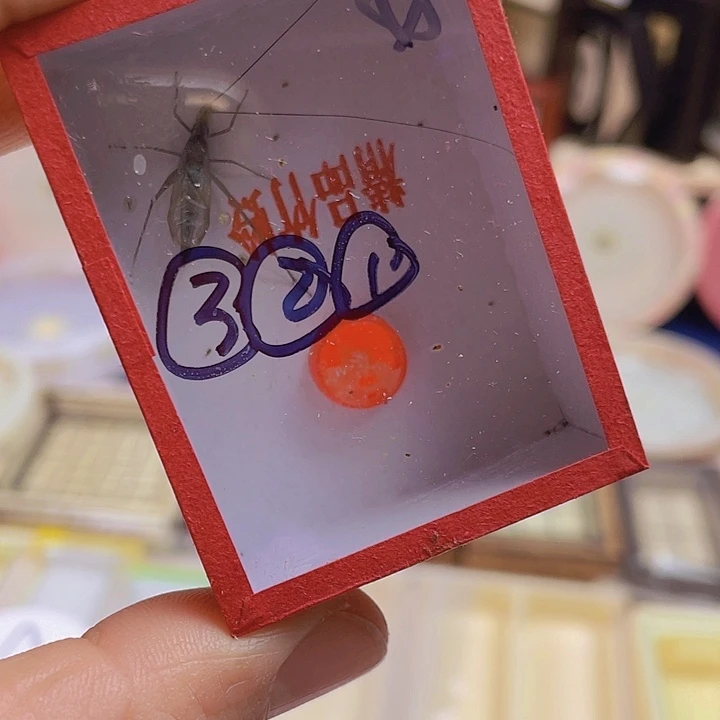 ③***①天水1啊啊啊啊啊啊啊