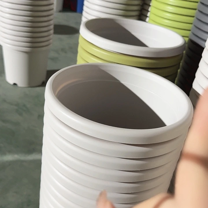 四季4号灰白无托8个特价微瑕