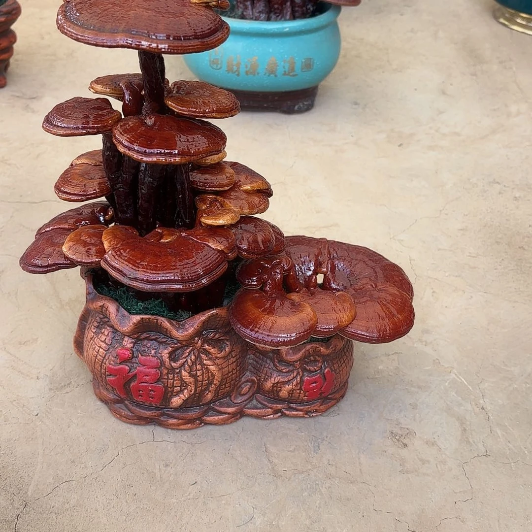 无花朵灵芝是我国著名植物