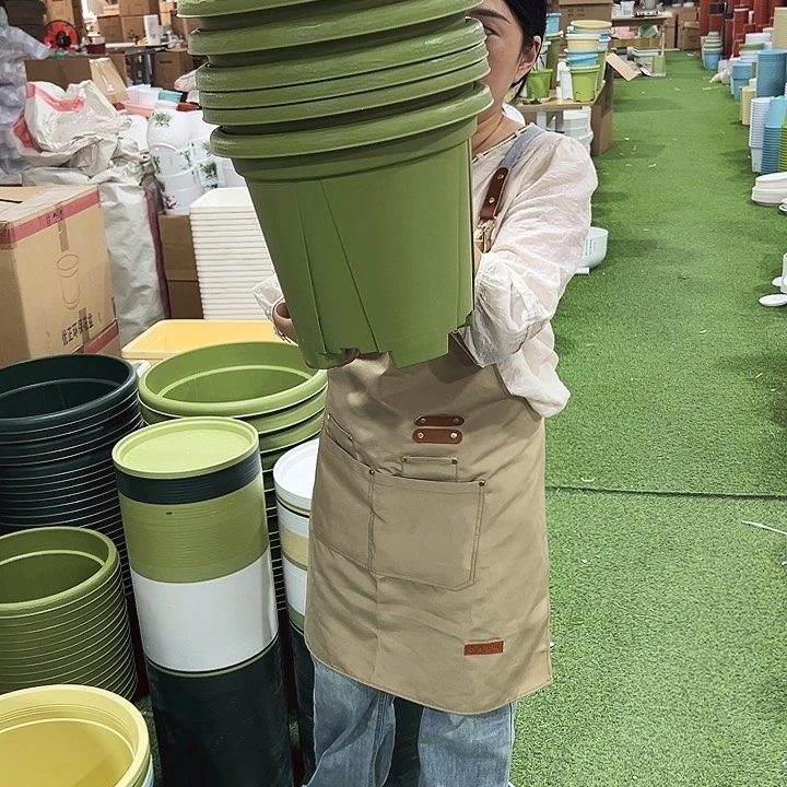 青山盆口32高28果绿色无托6只