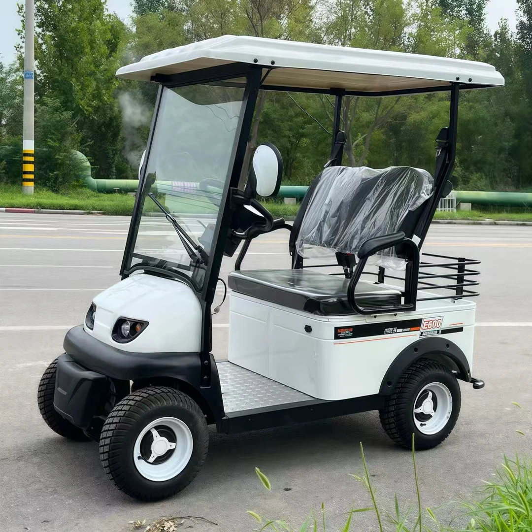 小巴士电动四轮车E600景区旅游观光车带棚高尔夫球车家用双人代步