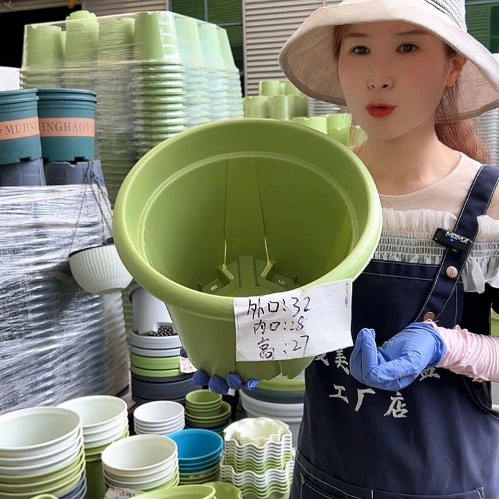 青山盆6#果绿色5个无托