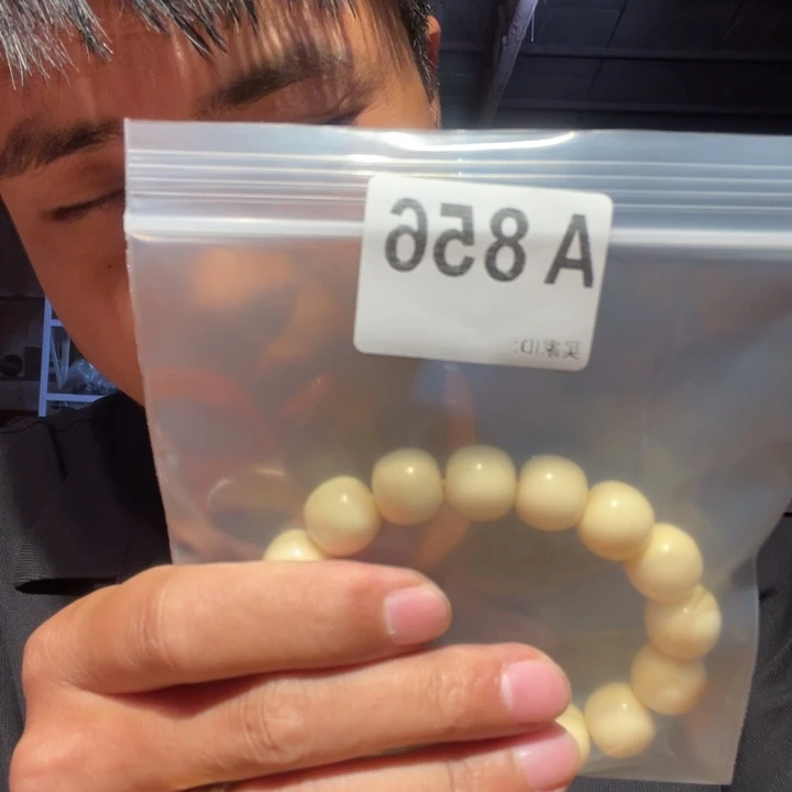 大叶紫檀（黑酸枝木类）856
