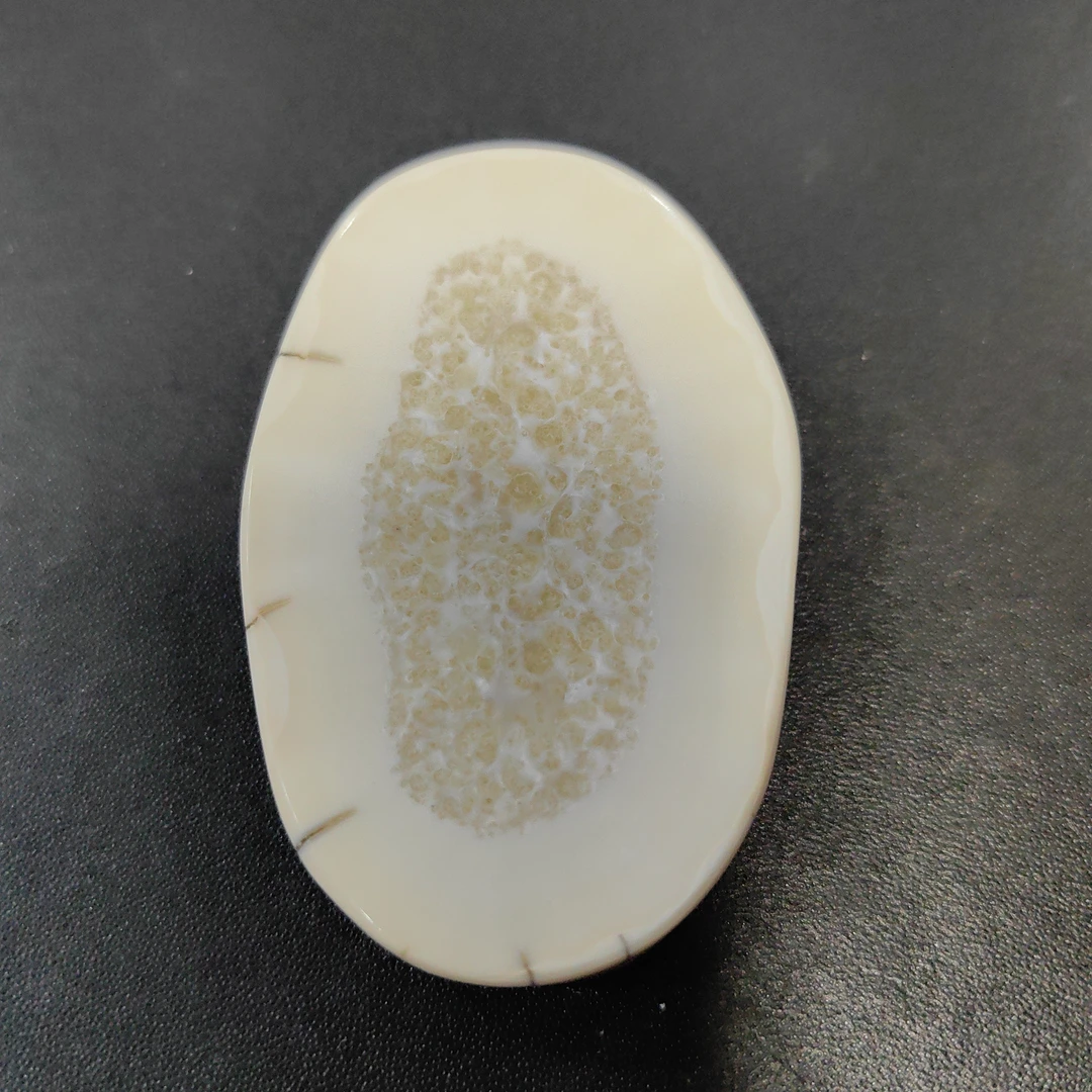 猛犸猛犸虬饼子  WT63