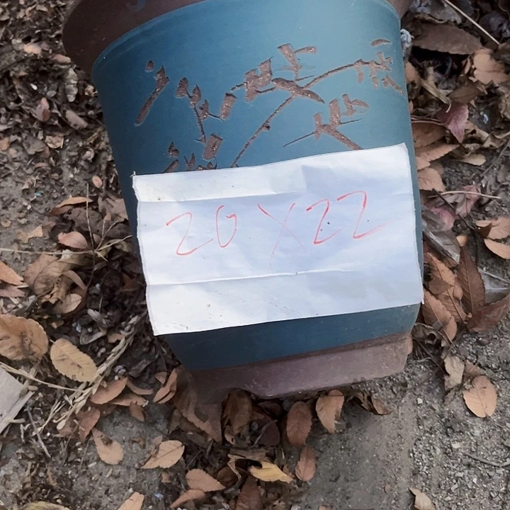 紫砂花盆1111111111