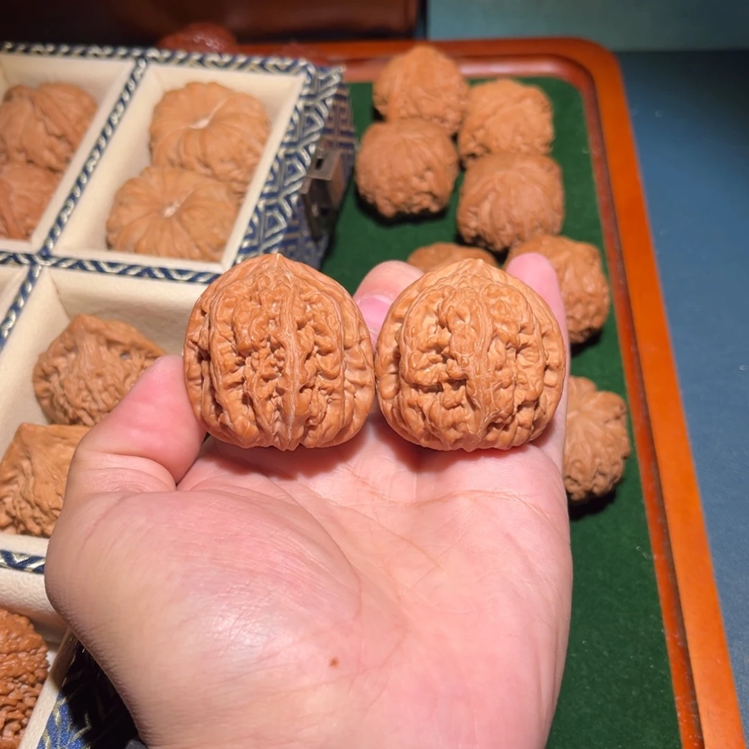 41全品大粗筋核桃核桃