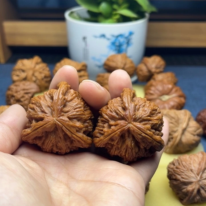 核桃白狮子正奔三棱手工打底