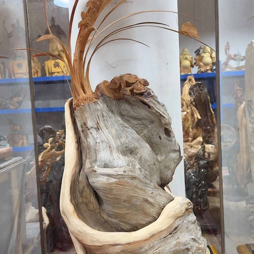 柏木（崖柏）太行崖柏兰花