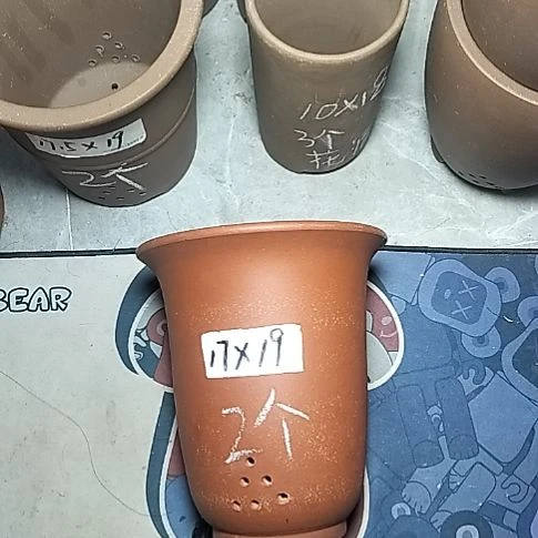 红泥小金钟两个花盆花泥