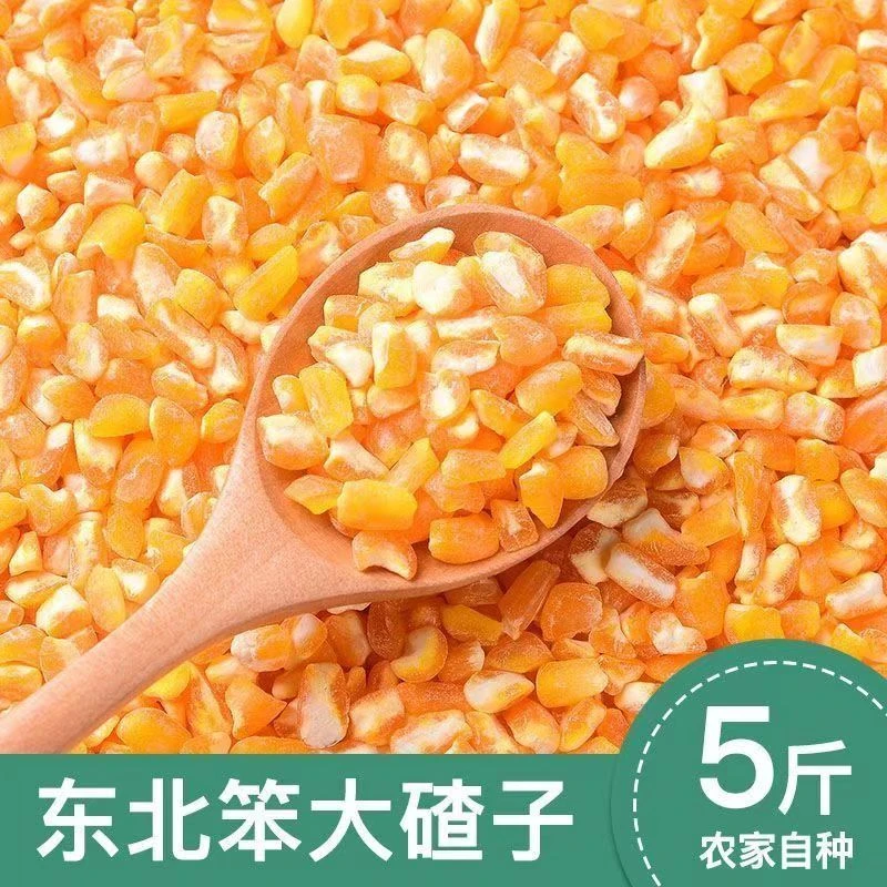 龙江黑土地东北大碴子杂粮农家现磨过冬粗粮正宗玉米碴东北特产