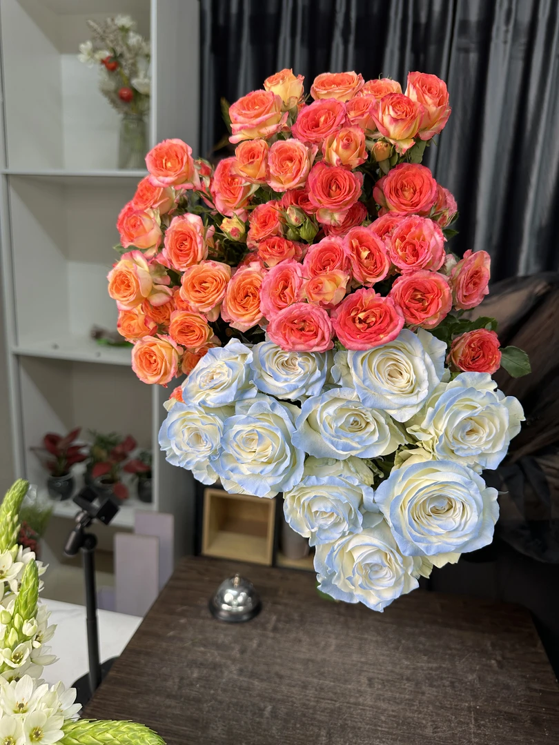 【新疆包邮】碎冰蓝玫瑰10枝A级+爱丽丝5枝