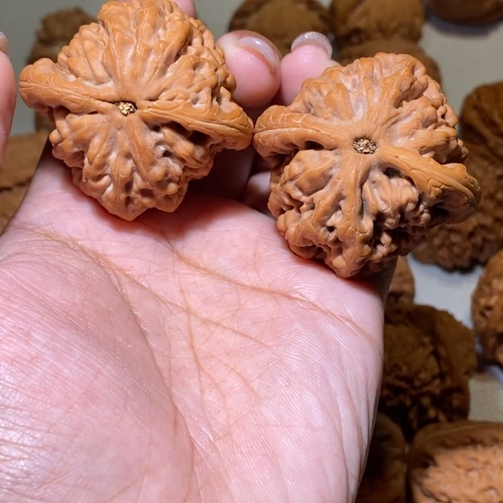 。***ヾ手串/手链核桃金公子