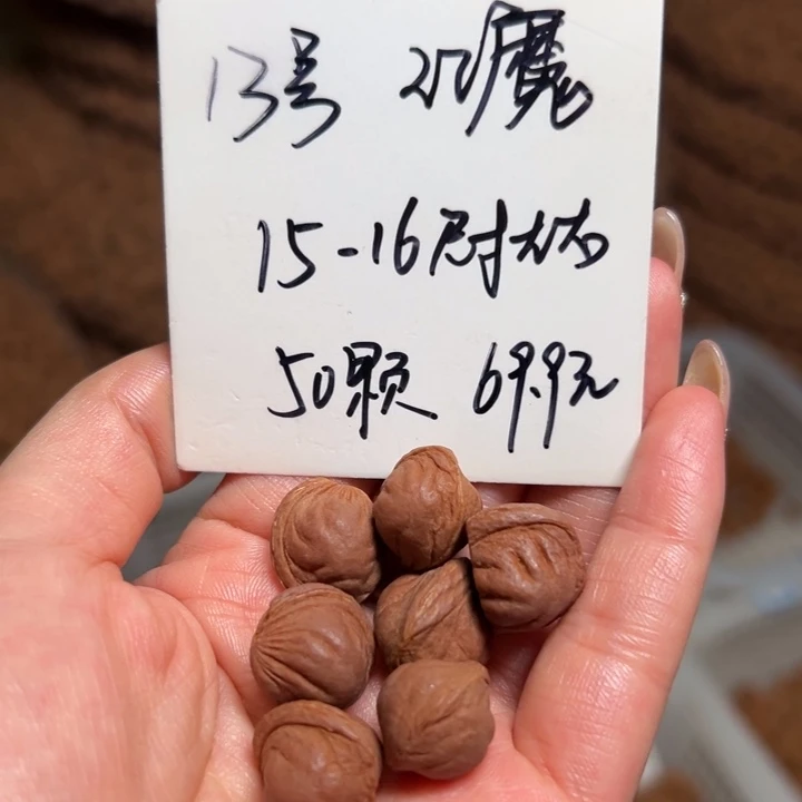 桃核手串13号肚卡15-16左右