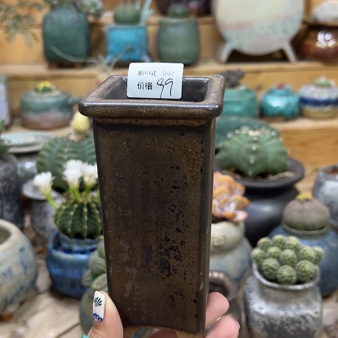妮***子1987花盆1987新中式盆067