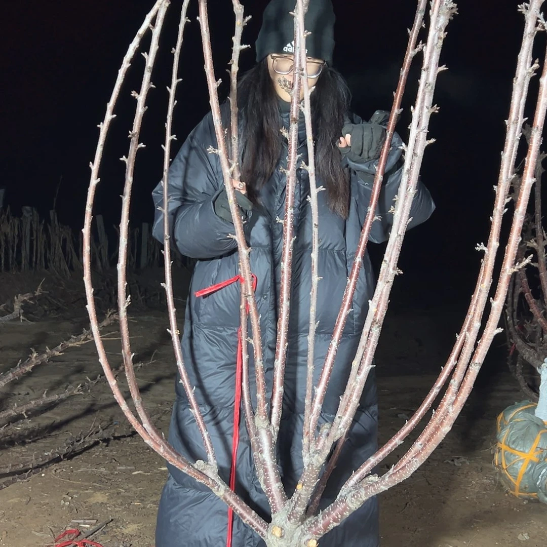 农***人直播间专拍直播间专拍