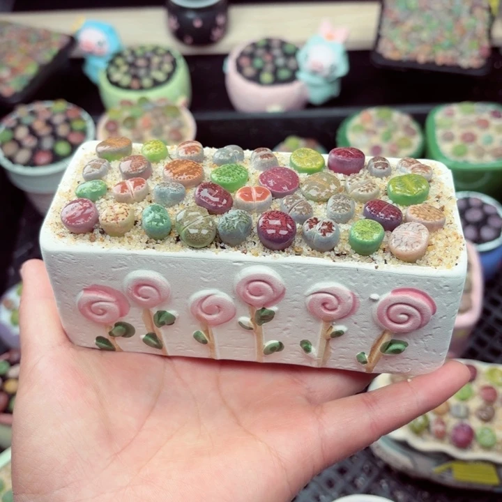 1080零下地区记得拍保温箱