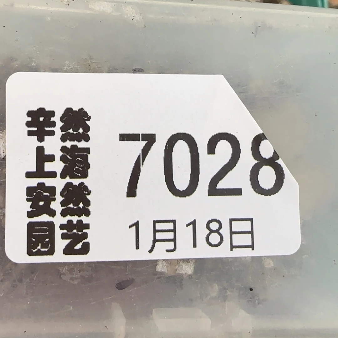 雨****客1。 18。 c24。上播福利