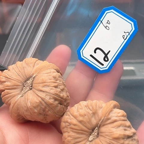 文玩核桃吊坠e****r南瓜