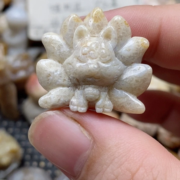 颈饰未镶嵌硅化珊瑚（珊瑚玉）小