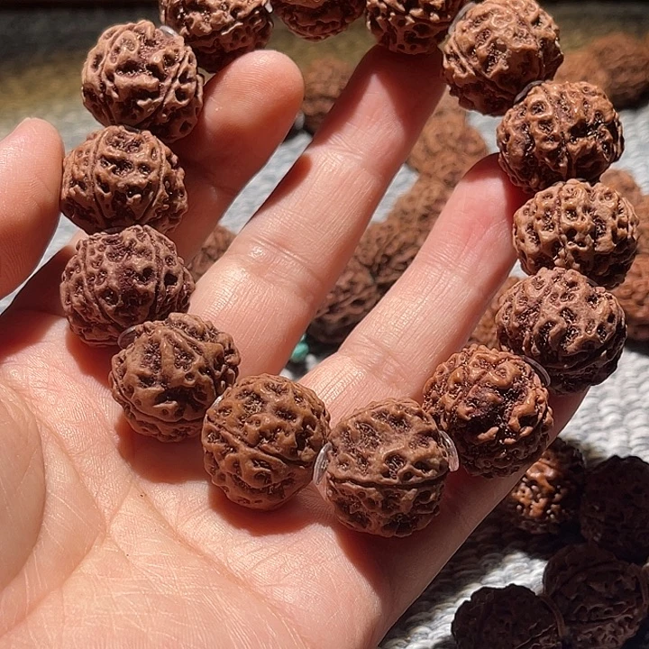 一***念金刚菩提吊坠古龙22尺寸 闪购12号